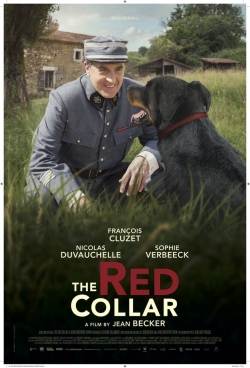 Watch Free The Red Collar Movies Full HD Online