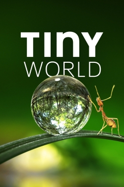 Watch Free Tiny World Movies Full HD Online