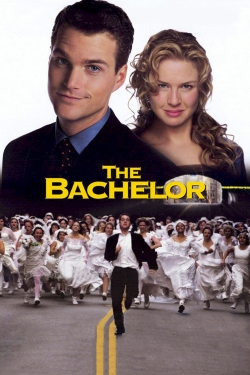 Watch Free The Bachelor Movies Full HD Online