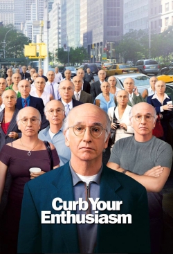 Watch Free Larry David: Curb Your Enthusiasm Movies Full HD Online