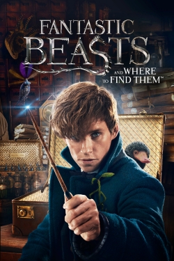 Watch Free Fantastic Beasts and Where to Find Them Movies Full HD Online