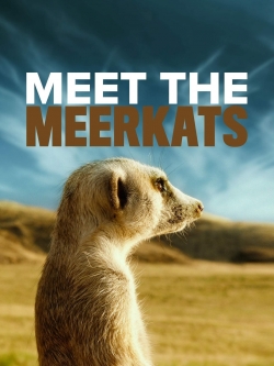 Watch Free Meet The Meerkats Movies Full HD Online