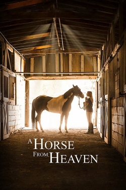 Watch Free A Horse from Heaven Movies Full HD Online