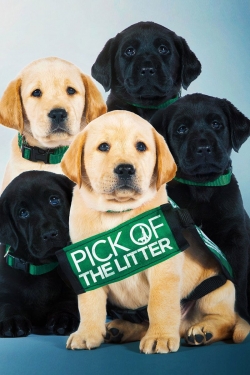 Watch Free Pick of the Litter Movies Full HD Online